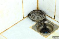 5 Signs Your Sewer Drain Is Clogged and Needs Cleaning