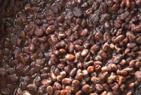 Slow Cooker Black Beans: Tender, Flavorful Recipe for Any Meal