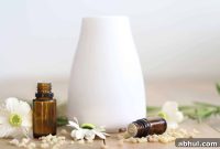 5 Aromatherapy Diffuser Blends to Boost Mood and Calm Anxiety