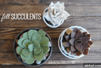 Make Realistic Felt Succulents: Step-by-Step Craft Tutorial