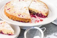 Nantucket Cranberry Pie Recipe: Tangy Holiday Dessert Guide