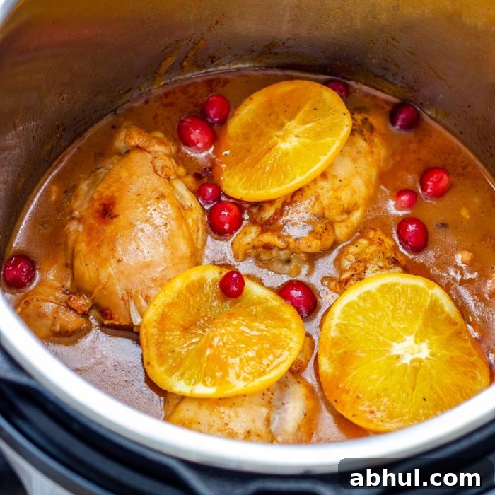 Homemade Instant Pot Cranberry Chicken