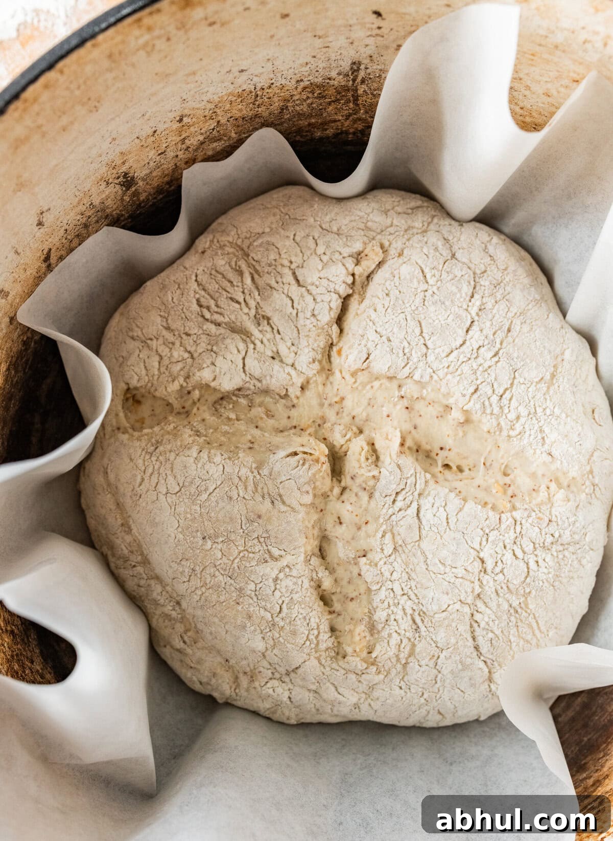 Bread loaf added to the preheated Dutch oven. 