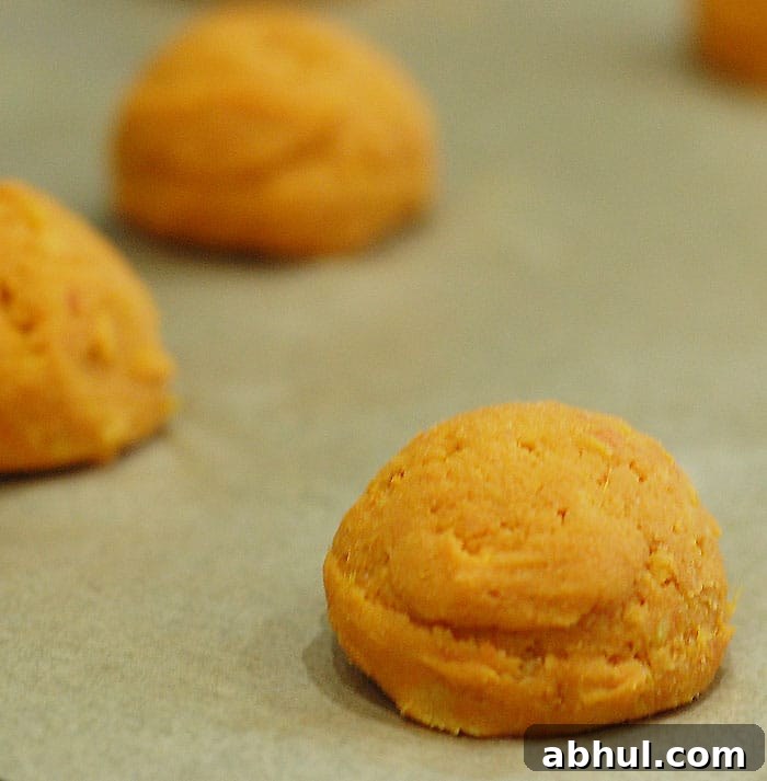 Vegan Carrot Koftas in Easy Blender Coconut Indian Sauce