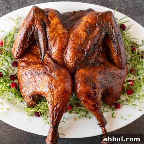 smoked spatchcock turkey featured image.