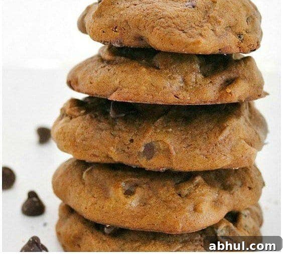 pumpkin chocolate chip cookies
