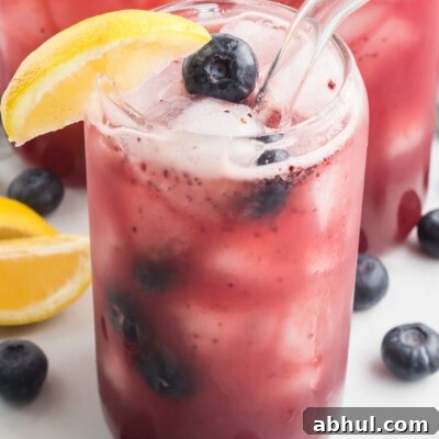 Refreshing Blueberry Lemonade Recipe with Fresh Citrus Twist 13 Blueberry Lemonade Feature