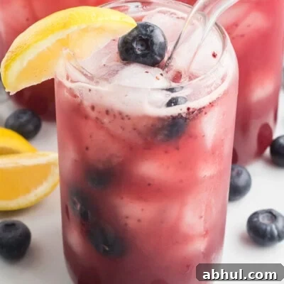 Refreshing Blueberry Lemonade Recipe with Fresh Citrus Twist 14 Blueberry Lemonade Feature