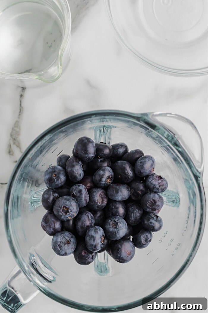 Refreshing Blueberry Lemonade Recipe with Fresh Citrus Twist 4 blueberries in blender