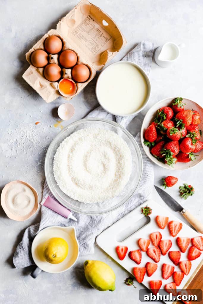 Strawberry Coconut Frozen Squares: Refreshing No-Bake Treat 5 top view of the ingredients to make strawberry coconut ice squares