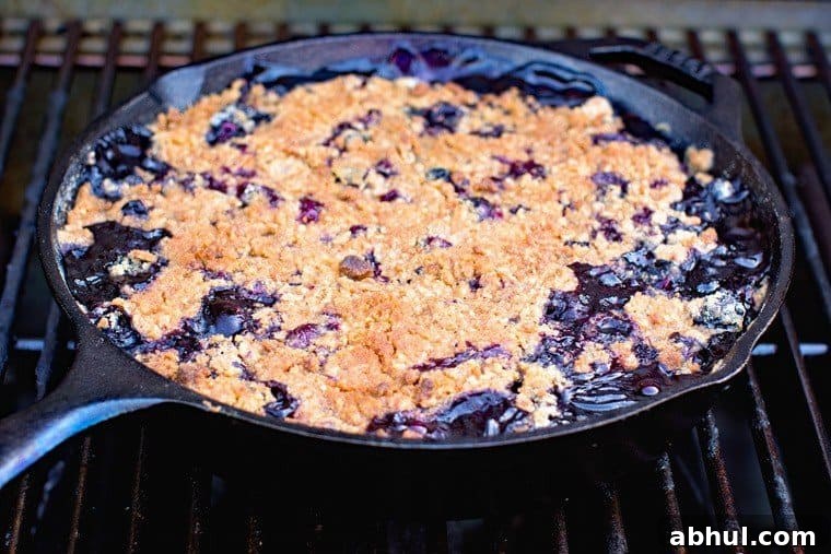 Cobbler on Grill