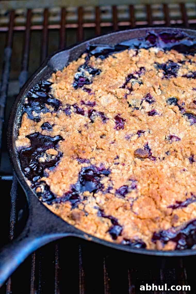 Pan of Lemon Blueberry Crisp on the grill