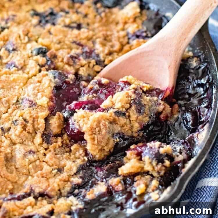 Blueberry Lemon Cobbler in Cast Iron Skillet