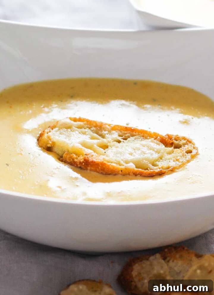 Cheese soup