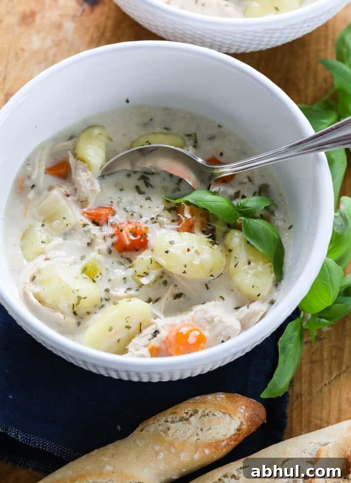 Chicken gnocchi soup