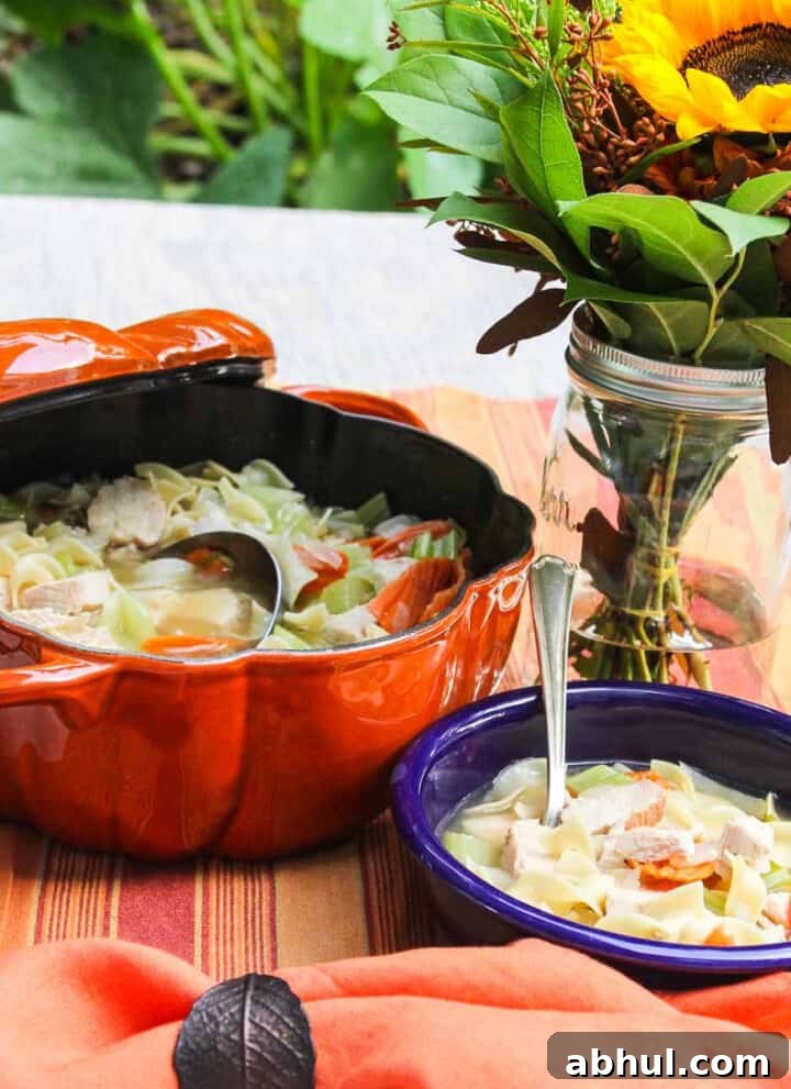 Chicken noodle soup