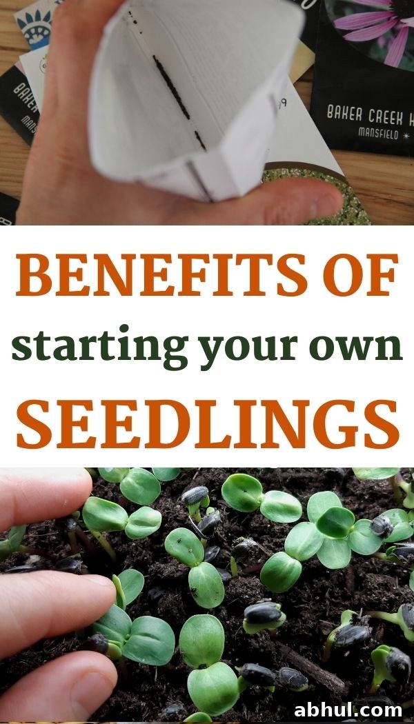 Starting seedlings inside has 5 key benefits! Here they are. 