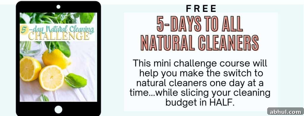 homemade natural household cleaners