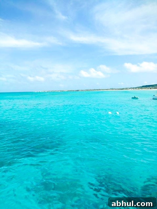 Antilla Shipwreck Snorkeling Tour on Aruba