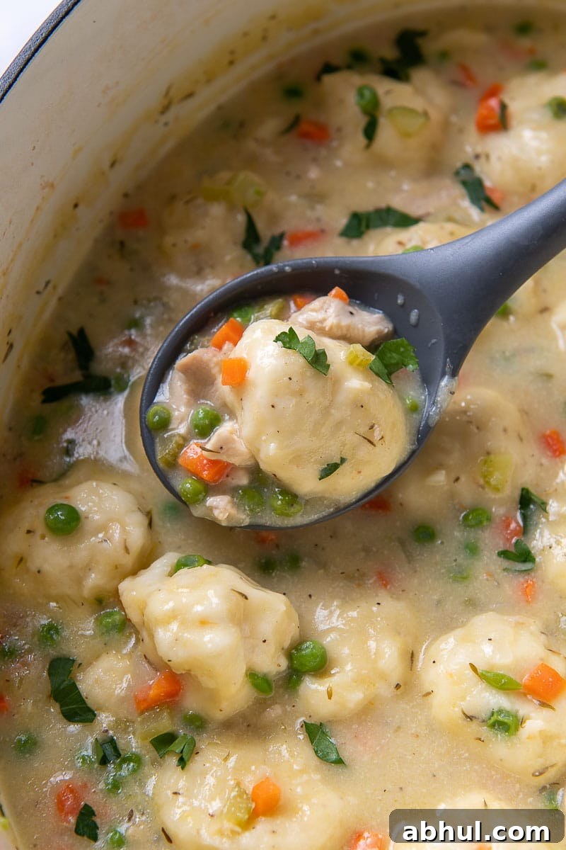 a ladle taking out a dumpling from chicken soup