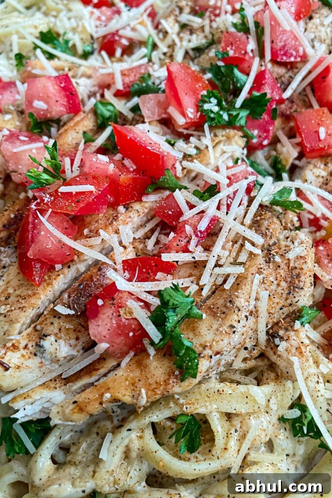 the most amazing Cajun chicken alfredo with diced tomatoes, chopped parsley, and shredded parmesan cheese