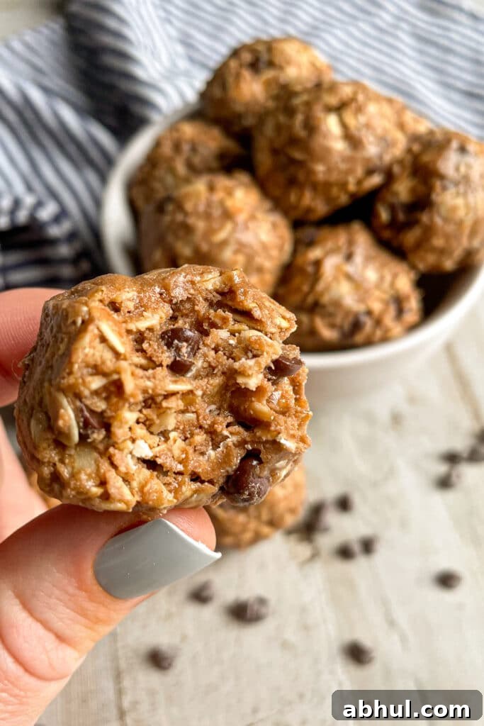 No-Bake Chocolate Peanut Butter Protein Balls Recipe 4 Close up photo of chocolate peanut butter protein balls with a bite taken out of it