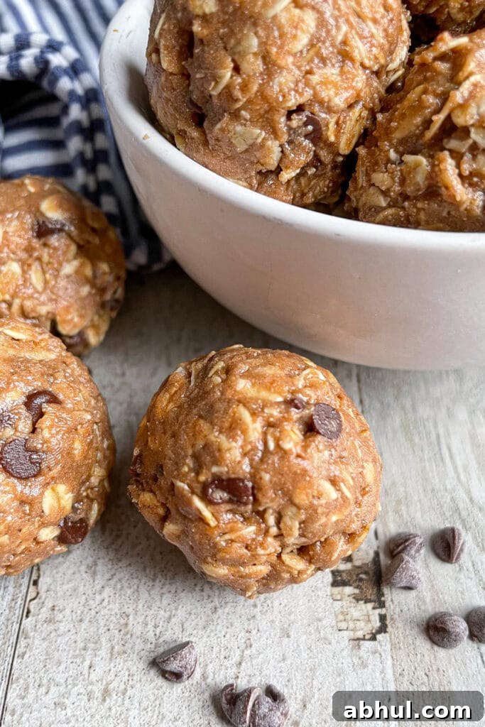 No-Bake Chocolate Peanut Butter Protein Balls Recipe 5 Easy chocolate peanut butter protein balls served in a bowl with chocolate chips on the side