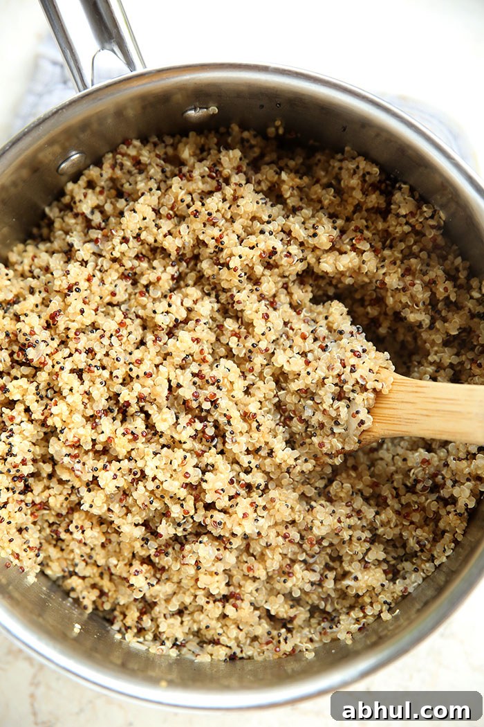 A pot full of multicolored quinoa.