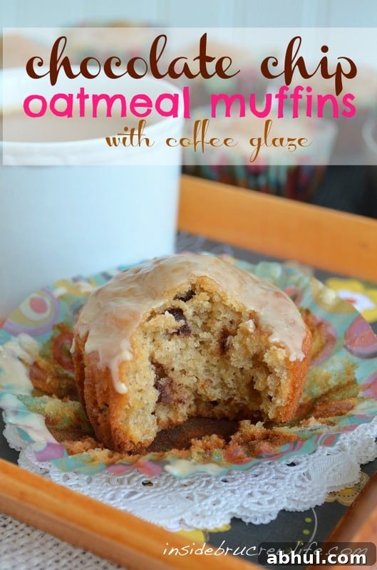 Chocolate Chip Oatmeal Muffins
