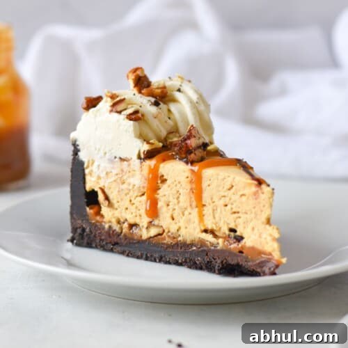 slice of turtle pie on white plate.