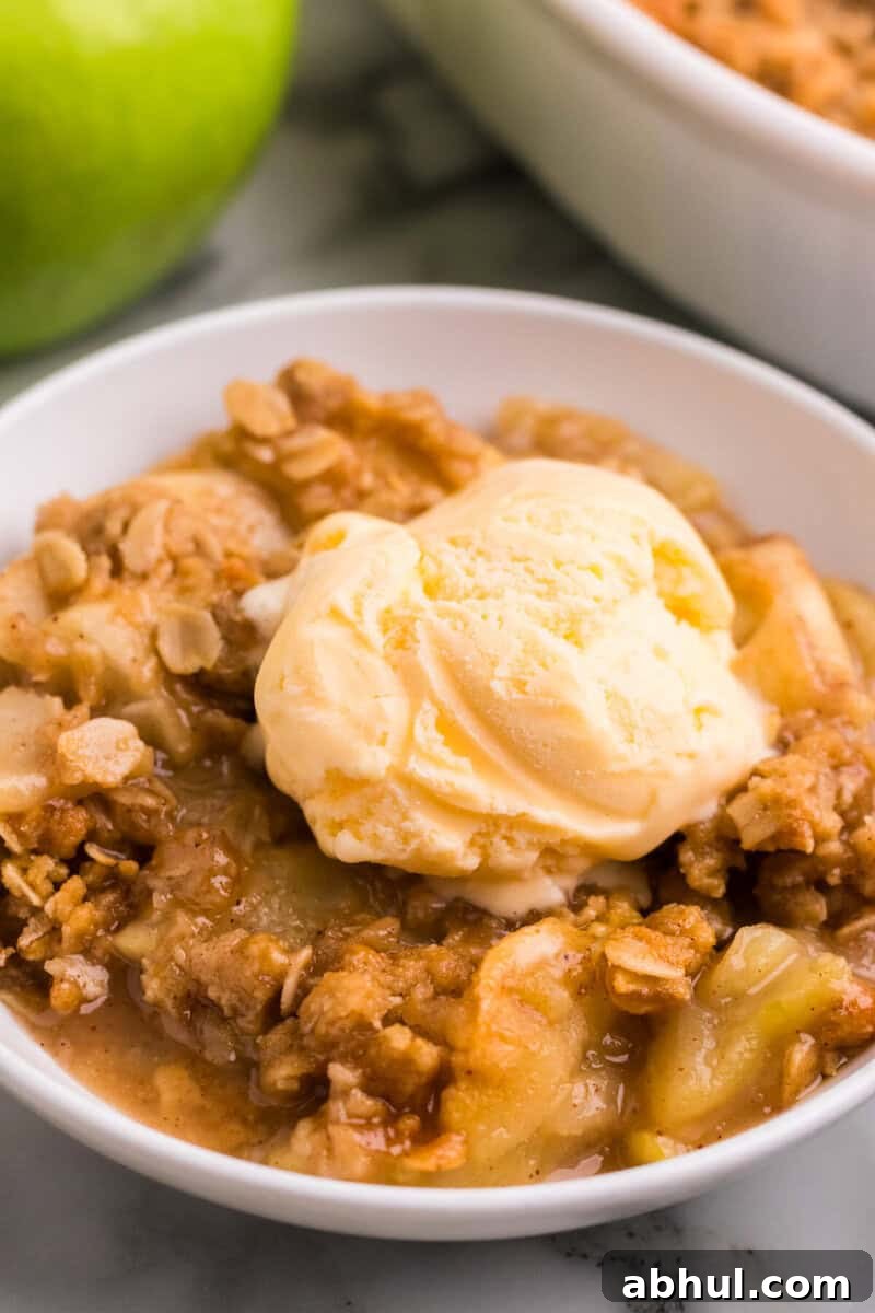 closeup of the Apple Crisp topped with the ice cream.