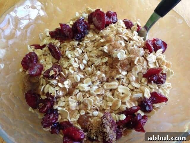 A bowl of oatmeal with soymilk, seeds, and dried cranberries.