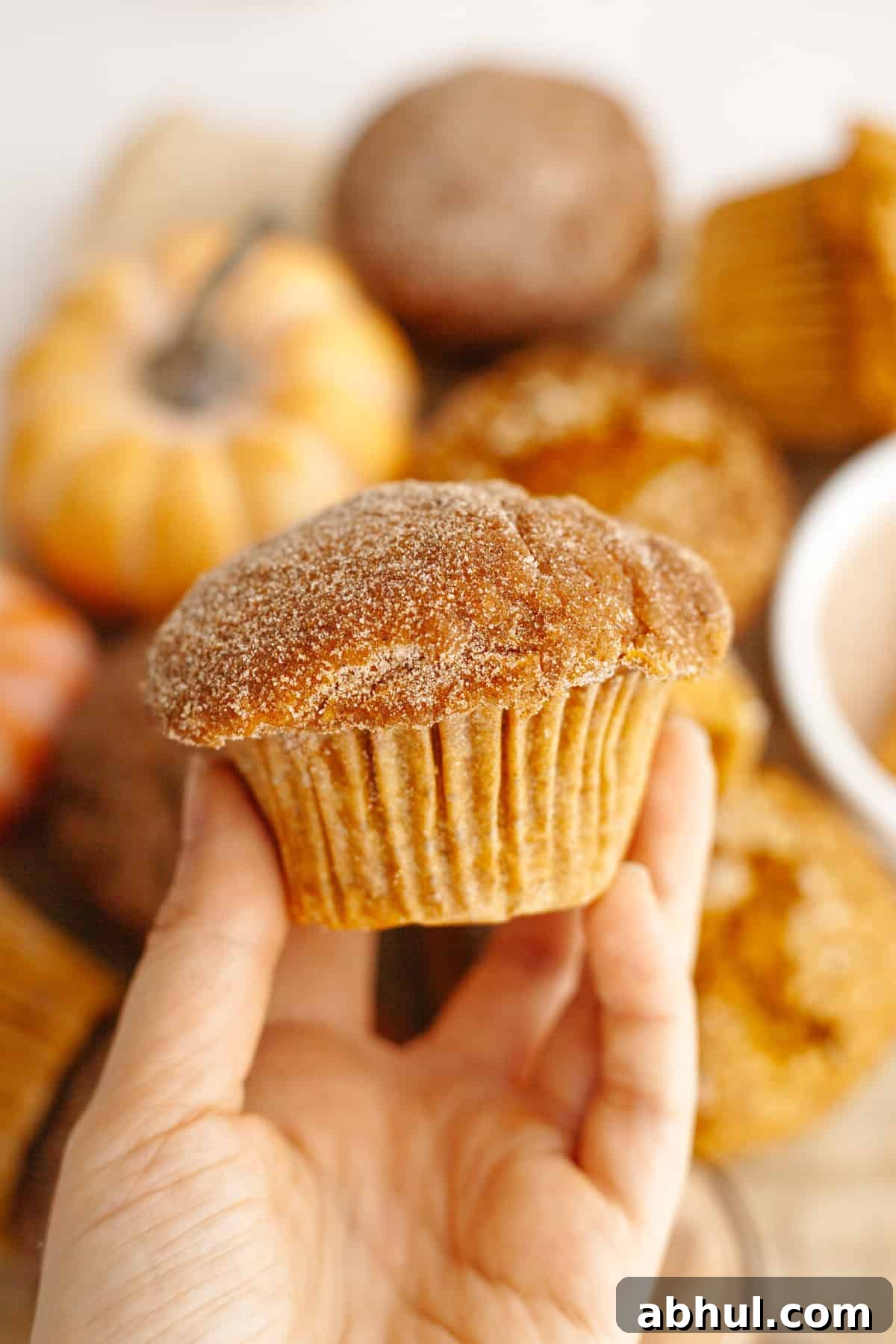 One-Bowl Pumpkin Sour Cream Muffins: Moist Fall Recipe 2 A hand holding a pumpkin muffin topped with sugar.