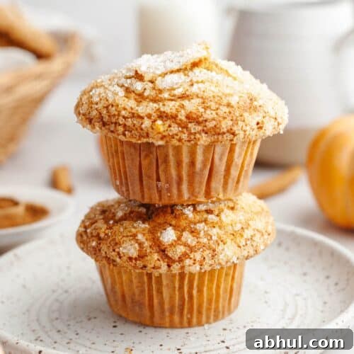 Two pumpkin banana muffins stacked on top of each other.
