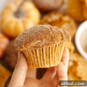 One-Bowl Pumpkin Sour Cream Muffins: Moist Fall Recipe 15 A hand holding a pumpkin sour cream muffin covered in sugar.