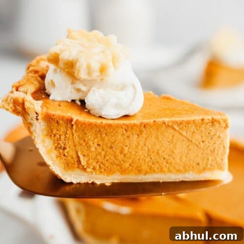 A slice of pumpkin pie on a pie server.