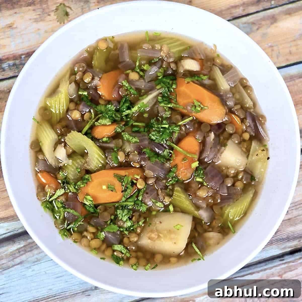 instant pot lentil soup in bowl 