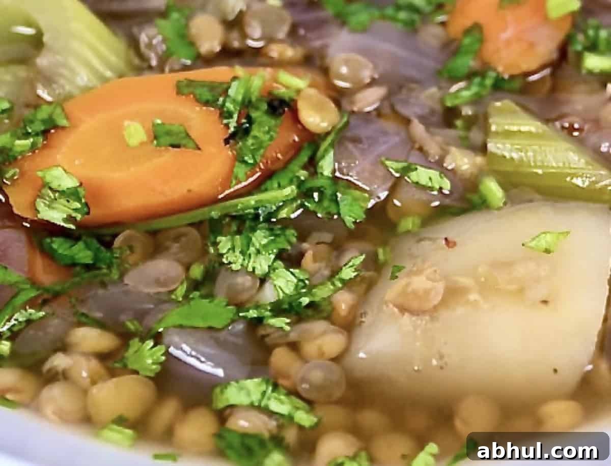 lentil soup close up of colorful tender carrots celery onions and potatoes in lentil soup made in the instant pot