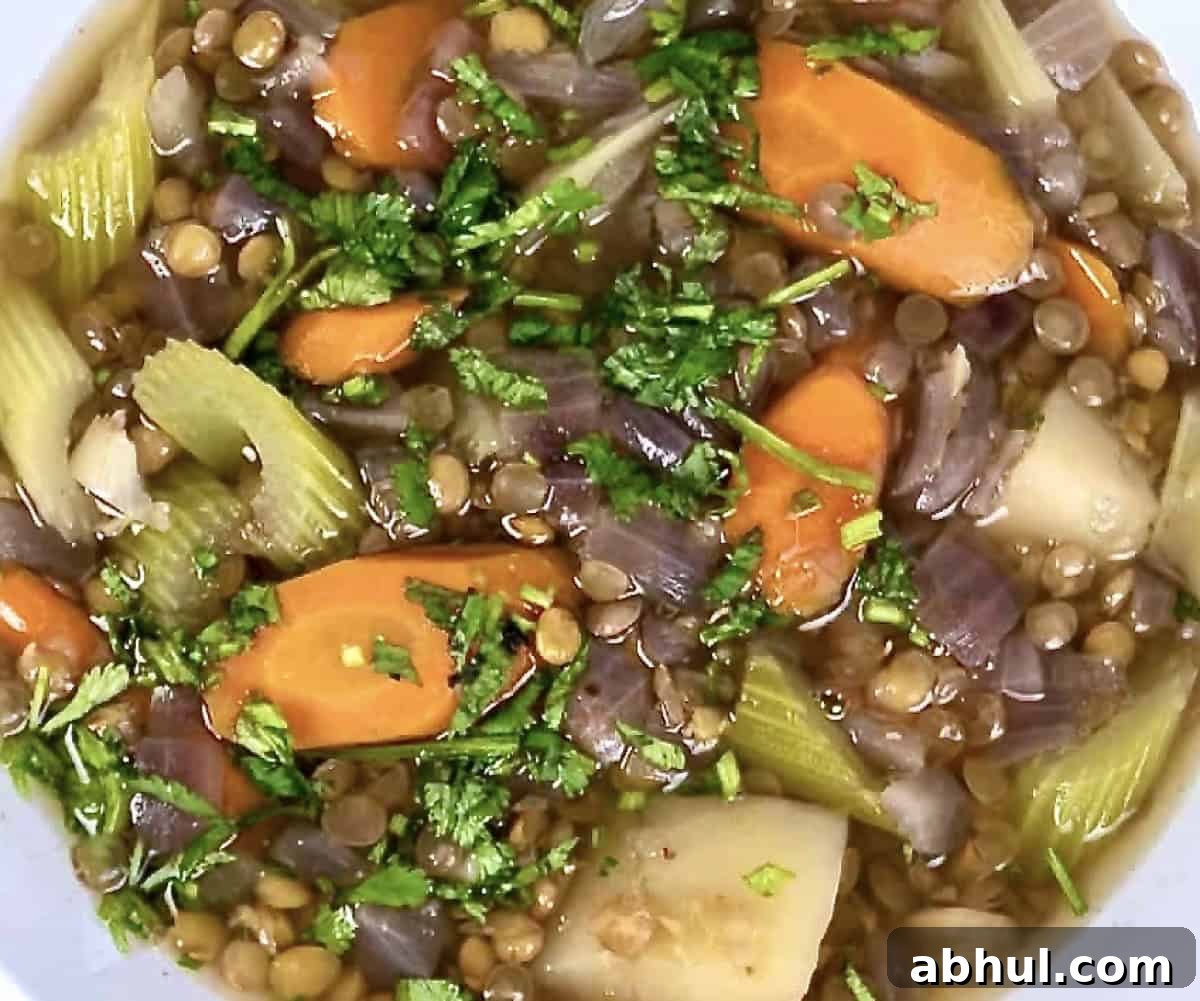 lentil soup with vegetables made in the instant pot. Finished and ready to eat.