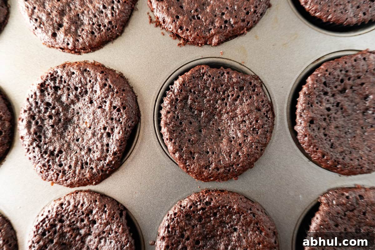 chocolate cupcakes after baking.