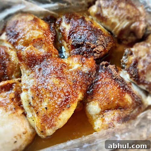 bake in bag chicken pan