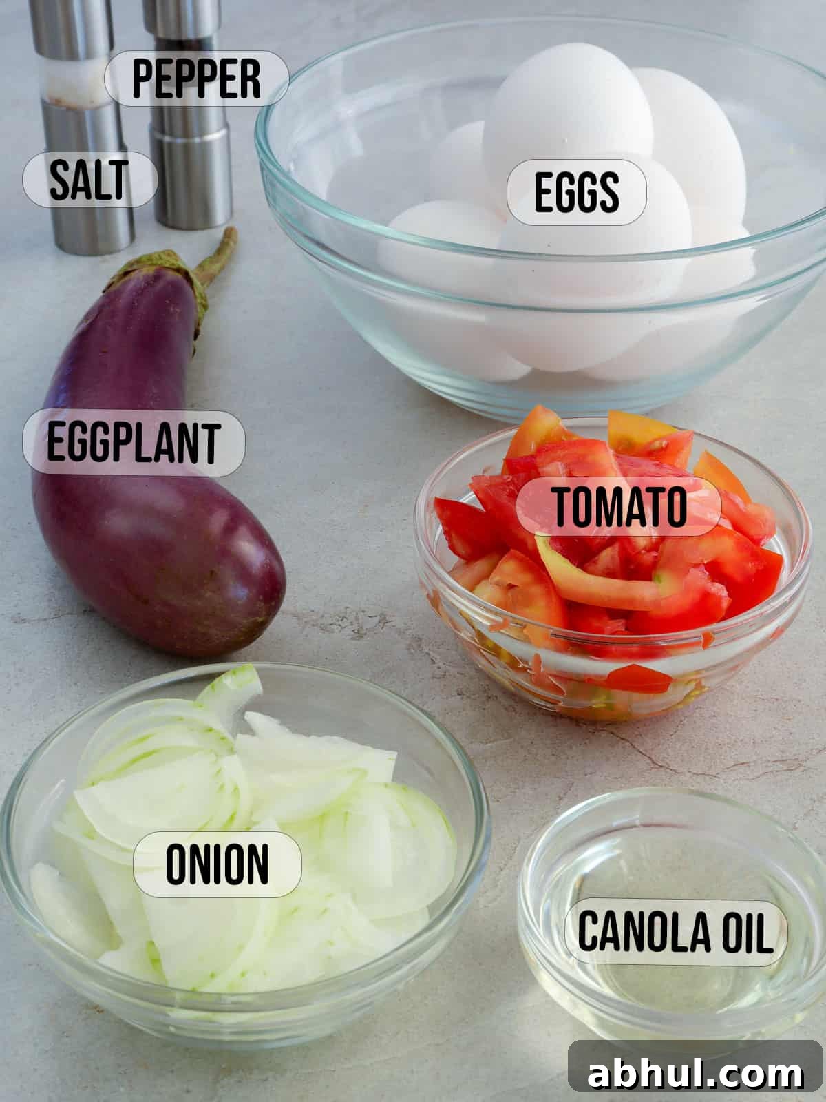 eggplant, chopped tomatoes, onions, oil, and eggs in bowls with salt and pepper shakers in the background.