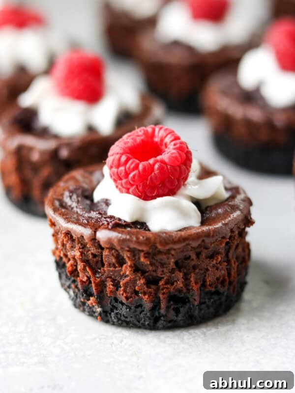 chocolate protein cheesecake with whipped cream and raspberries on top