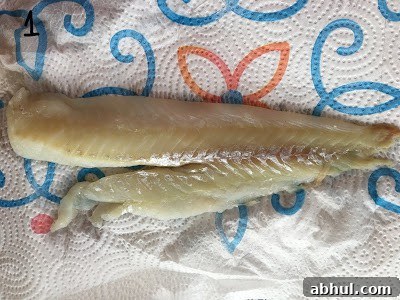 Fish fillet dried on paper towel.