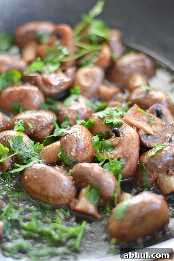 Sautéed Mushrooms in Red Wine and Garlic Sauce 3 Sauteed Mushrooms with Red Wine and Garlic