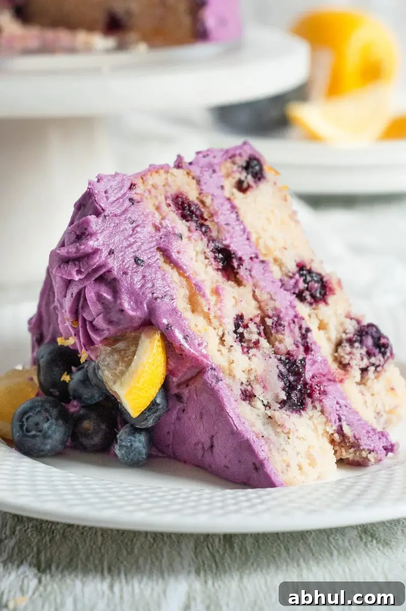 A slice of purple frosted lemon blueberry cake. It has two white cake layers full of blueberries and is topped with lemon sliced and fresh blueberries.