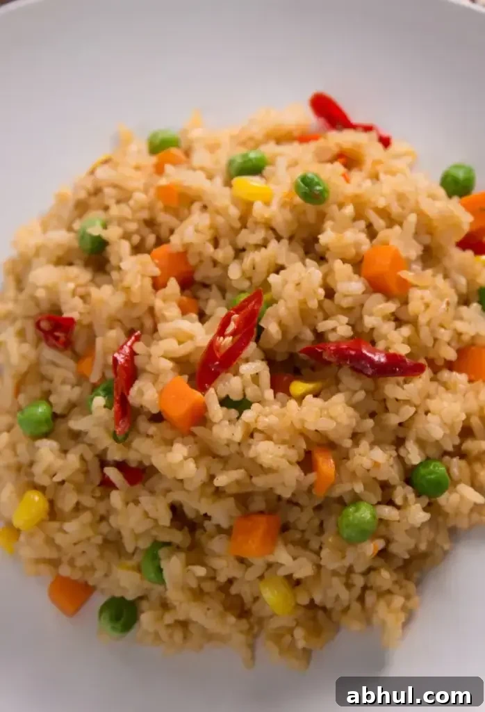 Subgum Fried Rice photo