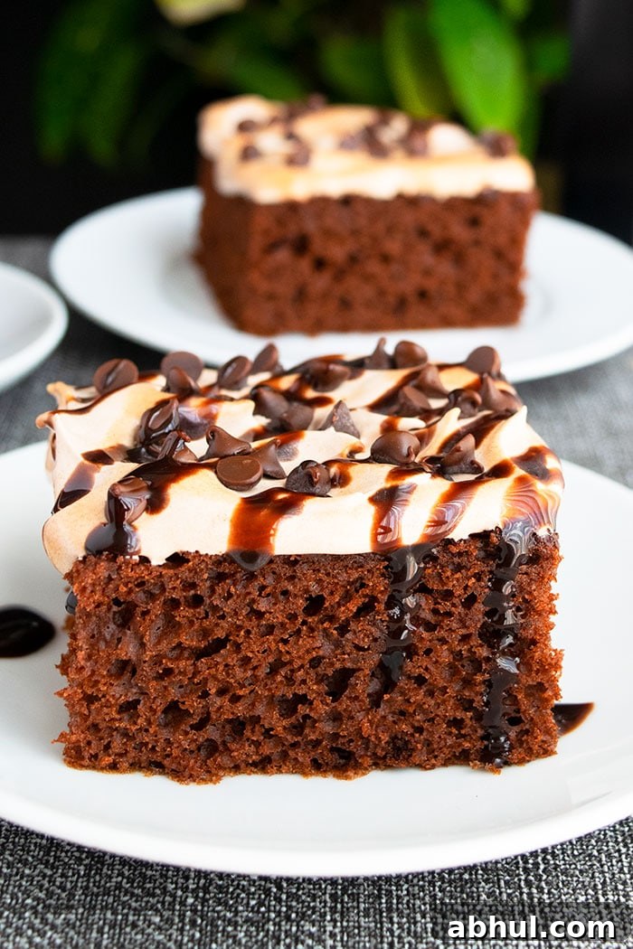 Easy Mexican Chocolate Cake With Brown Sugar Frosting and Ganache on White Plate 
