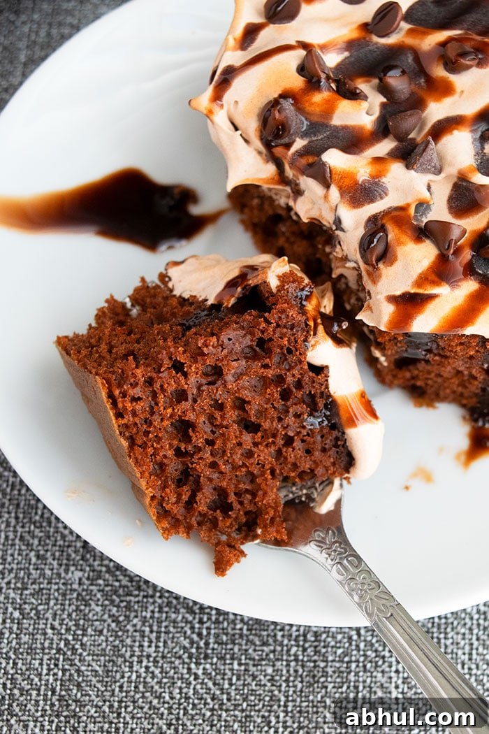 Spoonful of Spiced Chocolate Cake on White Plate- Closeup Shot