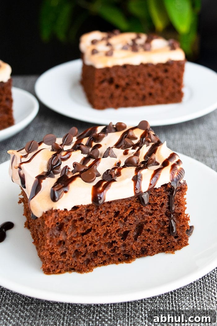Homemade Chocolate Cinnamon Cake With Spiced Brown Sugar Frosting and Ganache